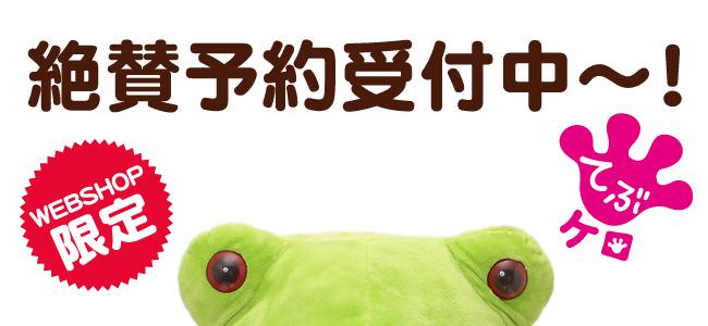 パスポート　てぶケロ　カエル　ぬいぐるみ　３点セット パスポート てぶケロ カエル ぬいぐるみ 3点セット Amazon.co