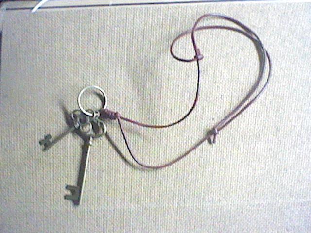宮守子 理攻 タカミネ リセム ダイソーで買った キーチャーム と セリアで買った 皮紐 で ネックレスが完成しました どちらも百円ショップなので 合計 216円ですね 合作 結び目が動くので 伸び縮みします Http T Co Lndf26u06g