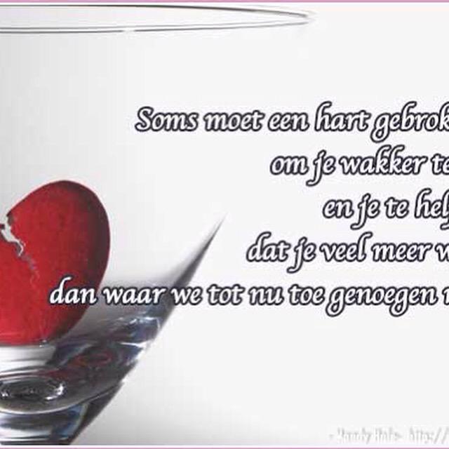 marcotc2's tweet image. 