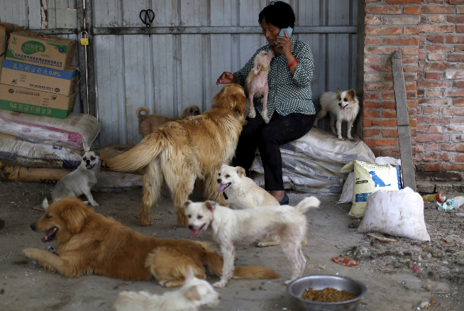thedailybeast's tweet photo. Saving Pups From China’s Dog Meat Festival: http://t.co/MLdMvdRobT http://t.co/qCZ5TK5MCA