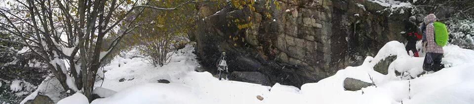 arqueo_pirineu tweet picture