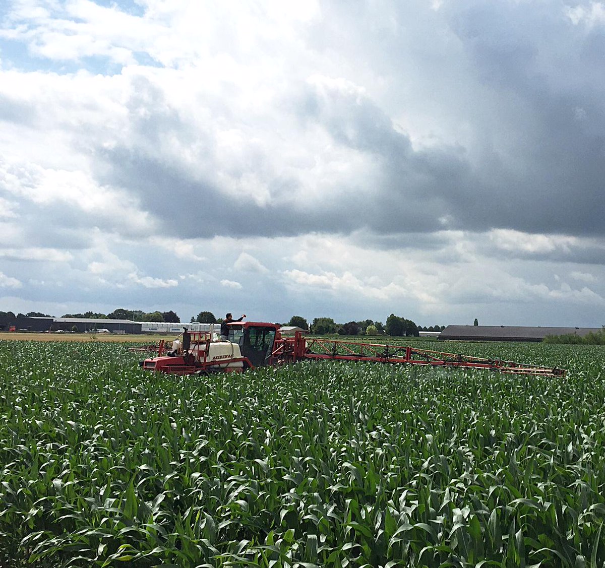 Spuit net voor pluim uw maïs met Retengo Plus, voor gezond gewas t/m oogst en meeropbrengst van gemiddeld 8% per/ha!