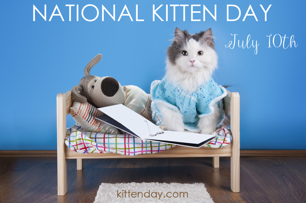 national kitten day