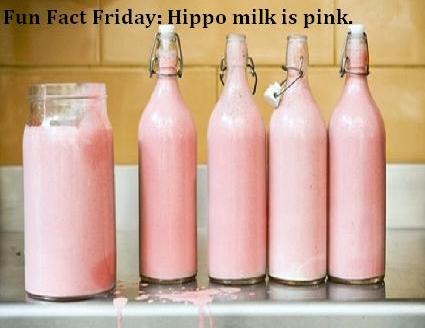 CrestFinance's tweet photo. #FunFactFriday http://t.co/Hs0liPzQkp