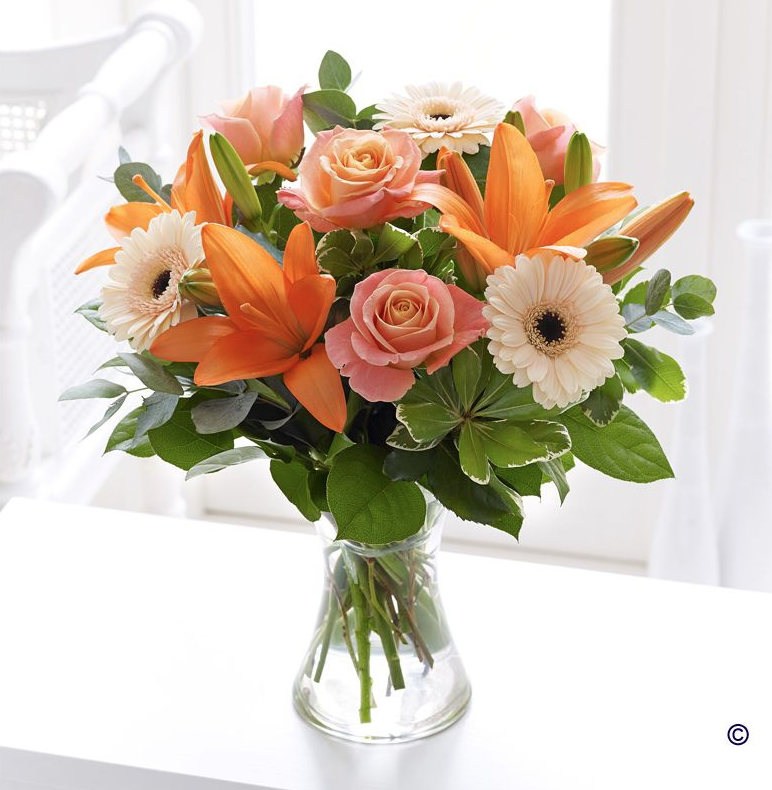 colonnadeTW's tweet photo. Bring a little sunshine into your home with this peach summer vase. #FloralFriday
http://t.co/OOqfWZQSv1 http://t.co/ICsJDWqdrS