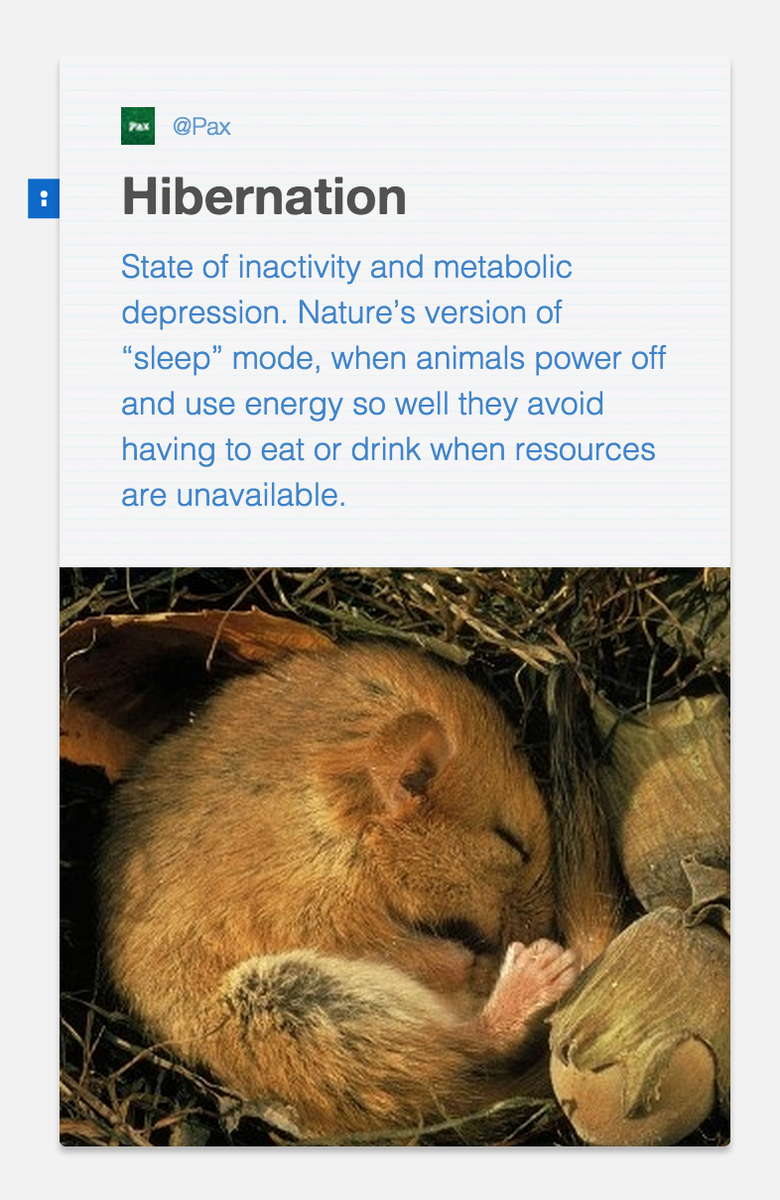getpax's tweet photo. Hibernation. Nature's version of sleep mode #shortis #connectednature #scicomm http://t.co/foNX0TndaG
