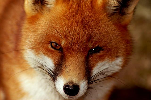 Will Travers tweet media