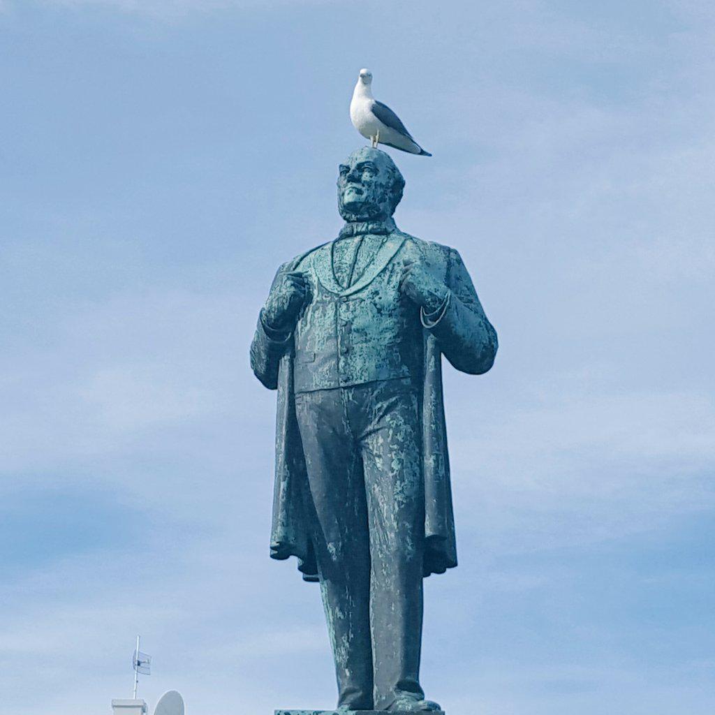 Bjarki Vilmarsson tweet media