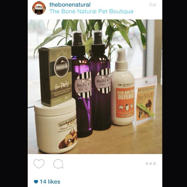 mozi_q's tweet photo. Thanks @thebonenatural for featuring #MoziQ For Pets Mozi-Q is the all natural mosquito repellant that you eat #moziq http://t.co/RUL5SCz0xH
