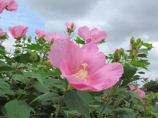 Good night !  See you ❤