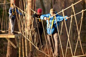 CameronHouseLL's tweet image. Climb and zip through the trees by #LochLomond at #TreeZone. Perfect for a family activity! bit.ly/1BSob9O