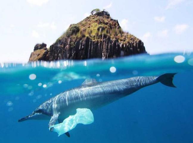 Hawaii is first state in US to COMPLETELY ban #plastic checkout bags! #sustainable #future <a href="/BlueDotRefill/">Blue Dot Refill</a>