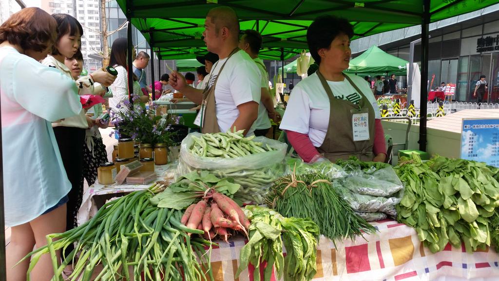 исследование систем управления методические указания по выполнению курсовой работы