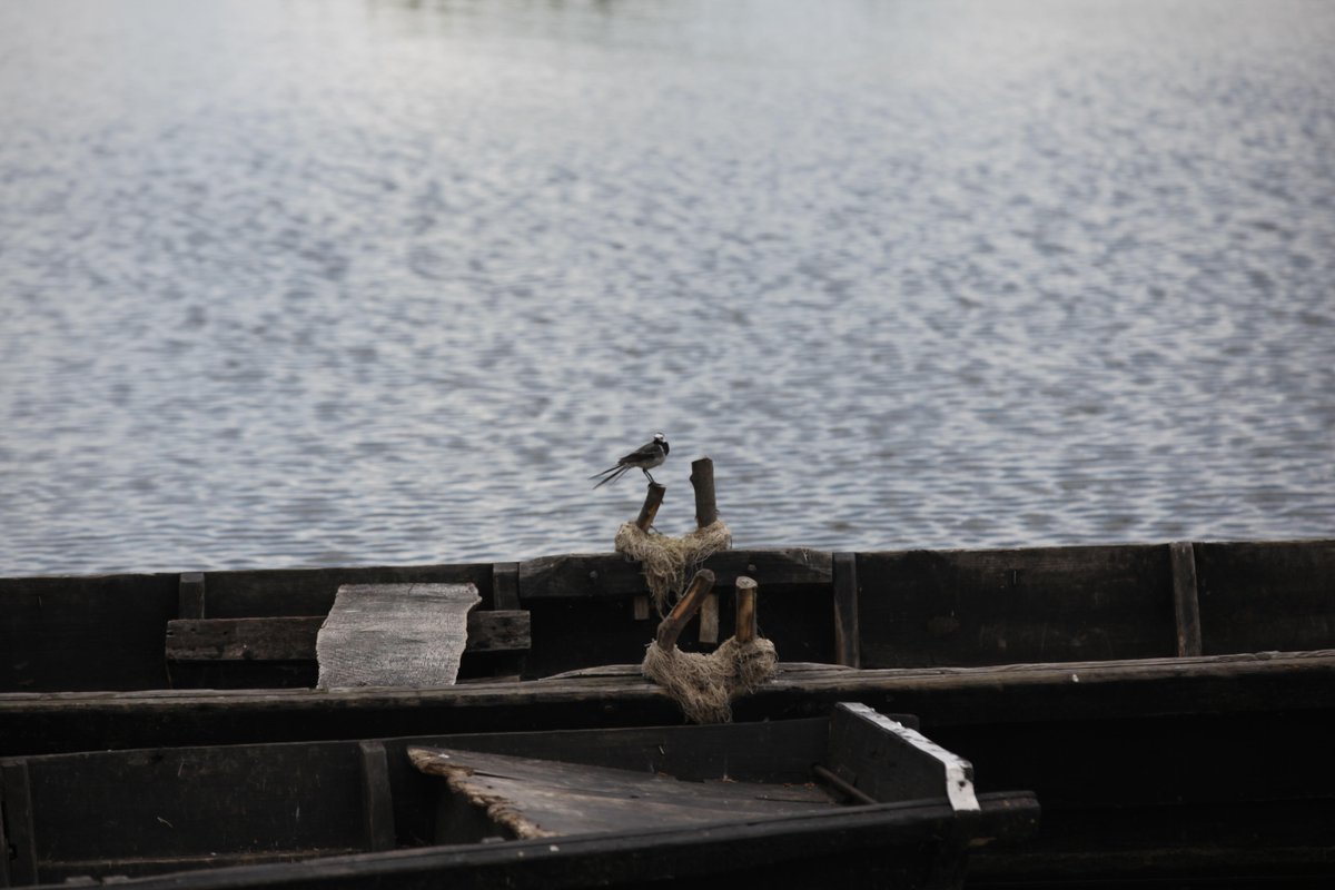 mi15lost's tweet image. #mi15lost