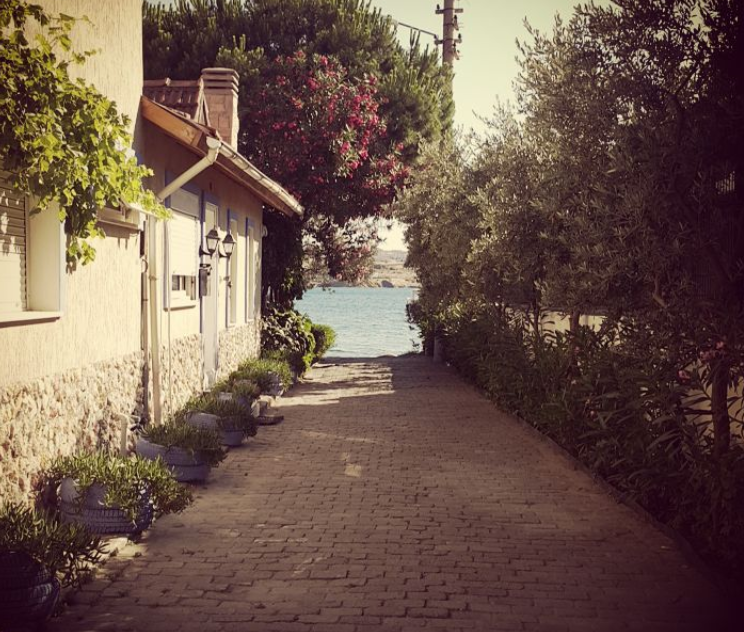 erbekdamla's tweet photo. natural güzellik #foça http://t.co/iShNwIBlY1