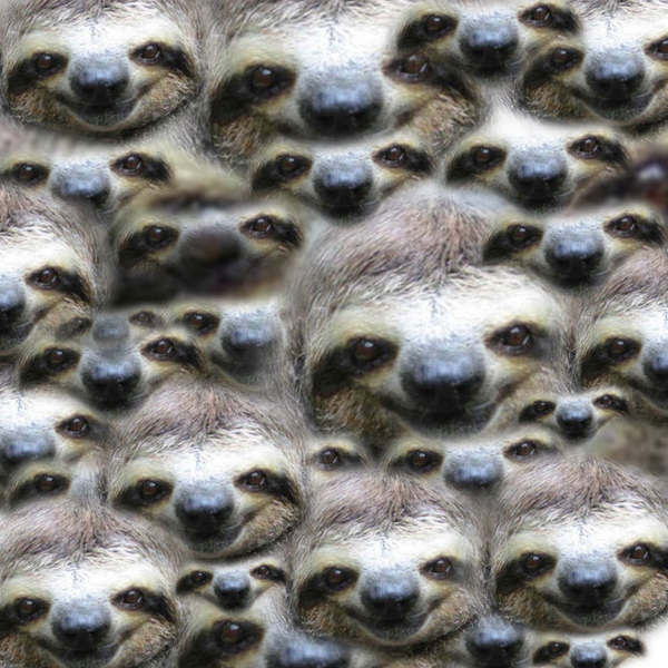 rhizome's tweet image. Why does Deep Dream see doggy monsters everywhere? rhizome.org/editorial/2015… Image (not of dogs) by @raphaelbastide