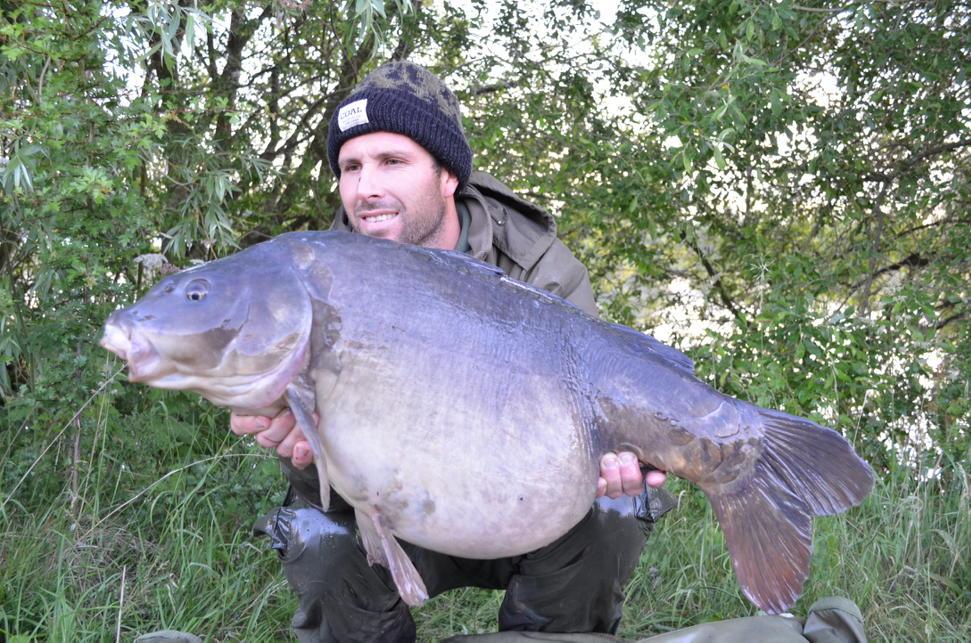 Tommy_wright13's tweet photo. Plump steely mirror from the valley #carpfishing #nenevalley #essentialbaits http://t.co/QManl5X6NC