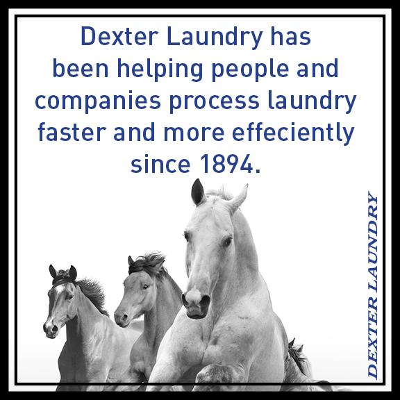 DexterLaundry's tweet photo. Did you know? #Dexterlaundry #didyouknow http://t.co/0xCH6sbbKI
