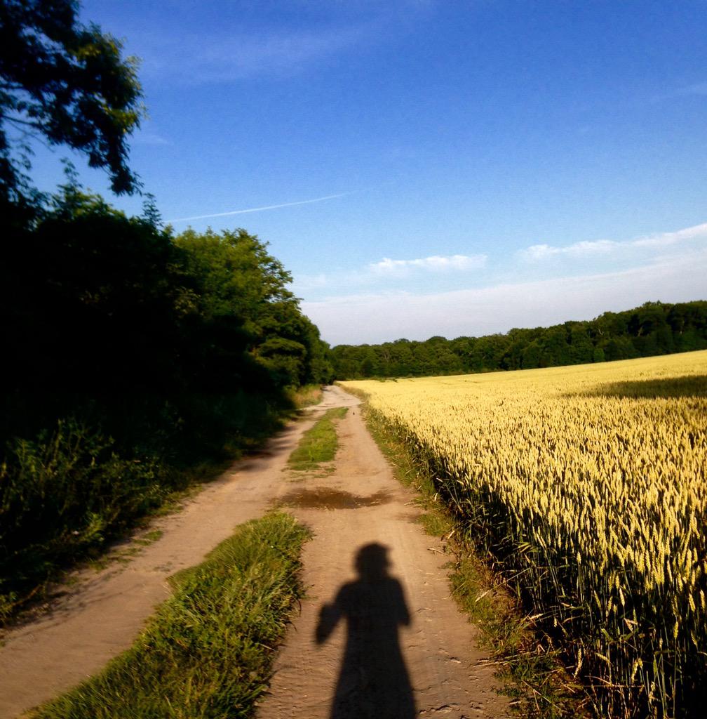 Winter wheat is looking good! #ruralrunning <a href="/PECOntario/">Prince Edward County</a> <a href="/SandbanksPP/">Sandbanks Provincial Park</a> <a href="/Ruralist_ca/">Ruralist</a>