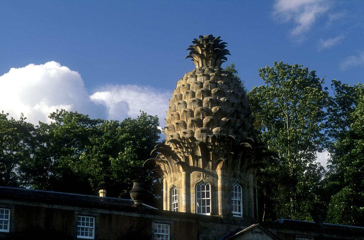 VisitScotland's tweet photo. It's #NationalPinaColadaDay! What better way to celebrate than to visit The Pineapple @N_T_S http://t.co/5vhwPKeno7 http://t.co/ru0Ub4a4Rt