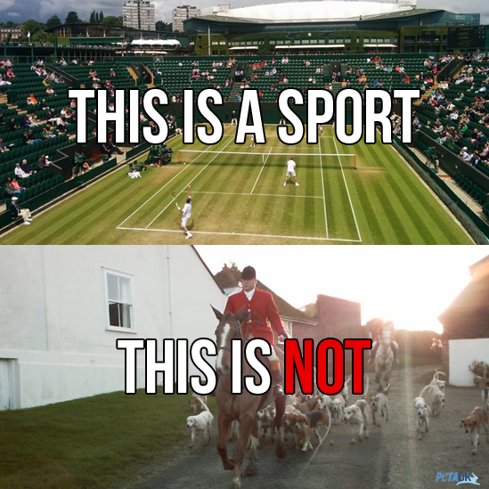 Chasing terrified animals and allowing dogs to rip them apart is NOT a sport. 

RT if you agree.
#KeepTheBan