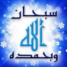 "سبحان الله وبحمده" 
من قالها في يوم مائة مرةغُفرت ذنوبه وإن كانت كزبدالبحر.
متفق عليه