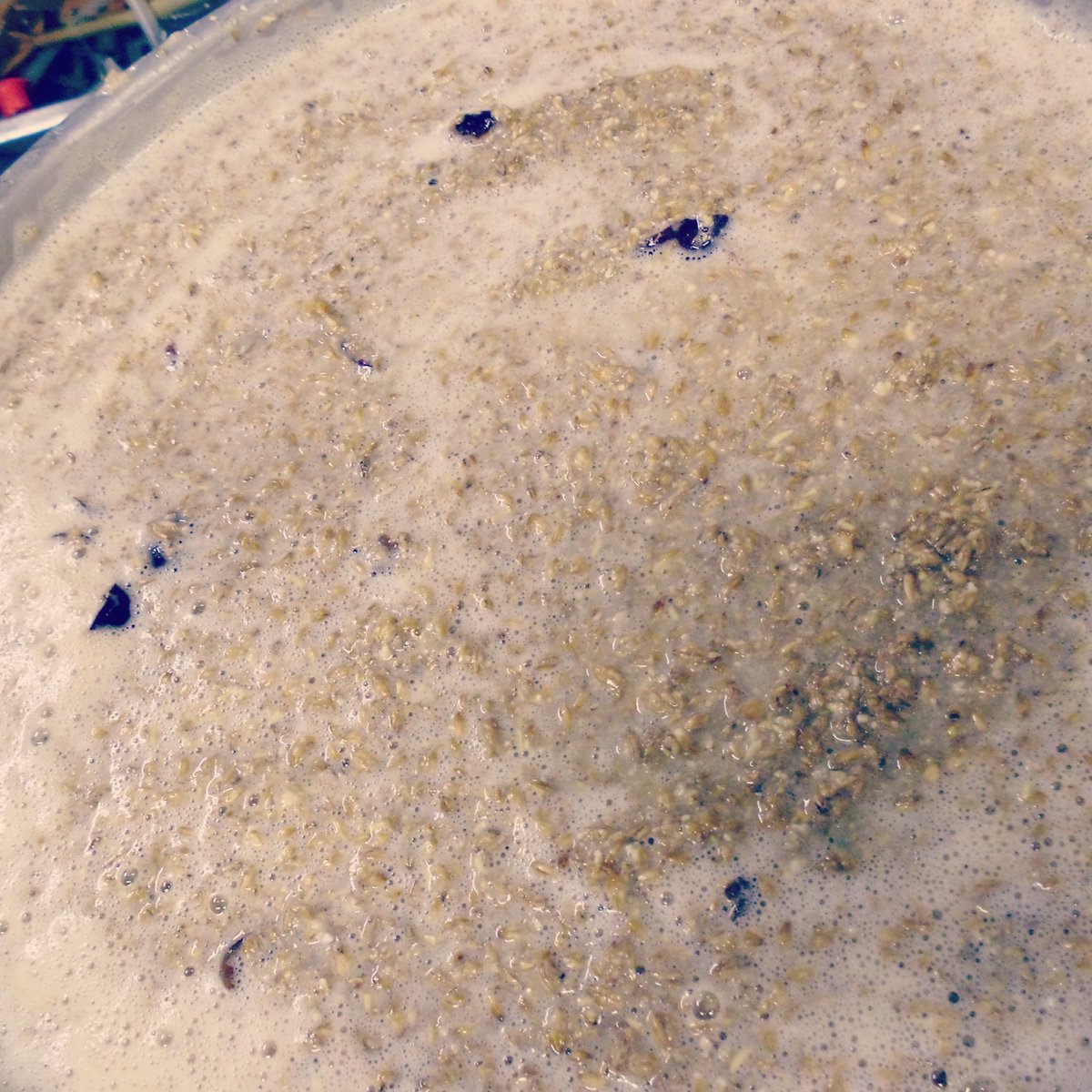 ThwaitesBrewery's tweet photo. We love a cheeky trial #brew… spot the cherries! ;) #CraftyDanMicro! http://t.co/UKcMbKZlfU