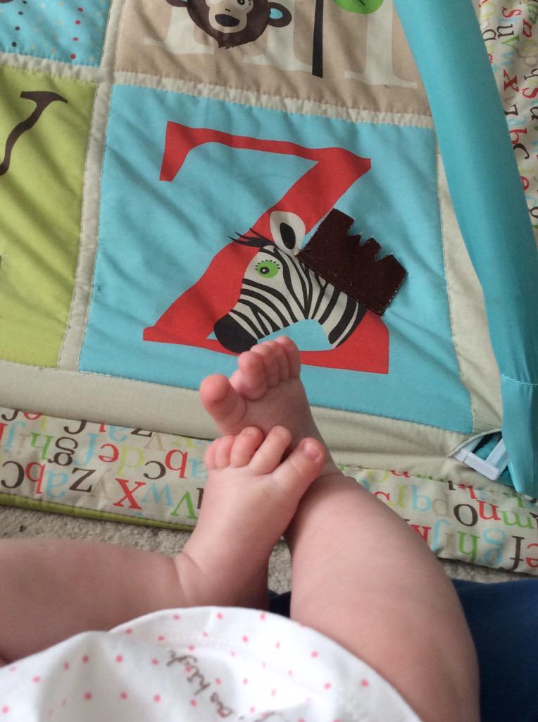 MaxWrottesley's tweet image. @Nussmuss life is awesome. I love my little one so much it hurts! #daddyslittlegirl #zisforzebra