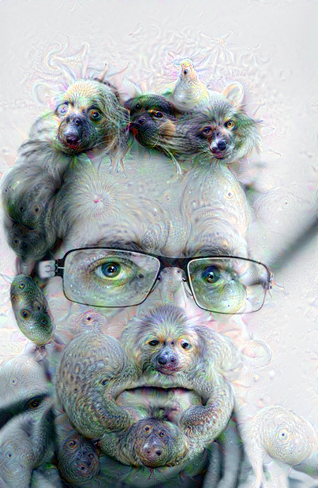 Google's Deepdream has given <a href="/xanderashwell/">Xander Ashwell</a> a puppy for a nose - try it with your own image: deepdream.in