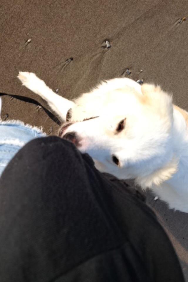 OthersLikeTank's tweet image. Tank followed Em EVERYWHERE cause he was in a new place. ruined his cage when left in fear of being abandoned again