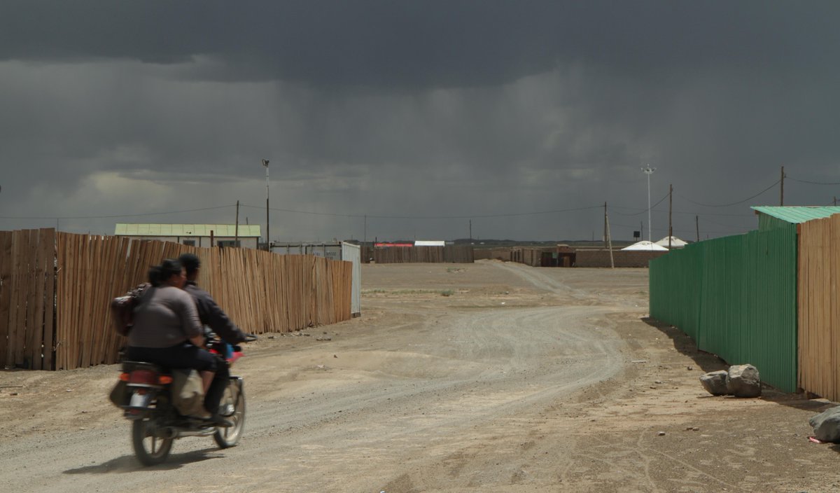 martina radwan tweet media