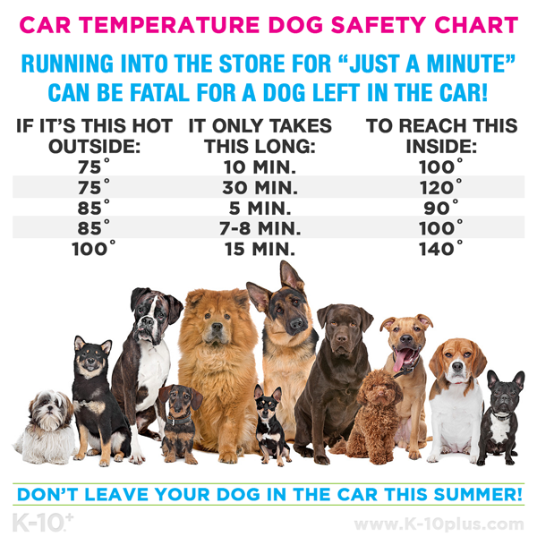 Heat Inside Car Chart