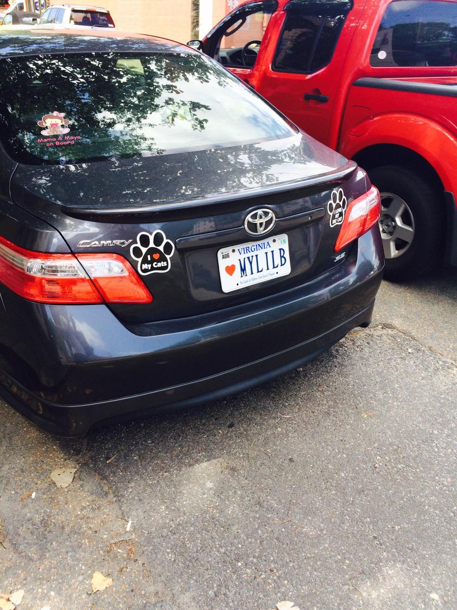 BasedPod's tweet photo. Richmond VA showing love/respect to @LILBTHEBASEDGOD + animals, bless his/her souls. Shout out Brick for the find. http://t.co/oKdJE3CeOd