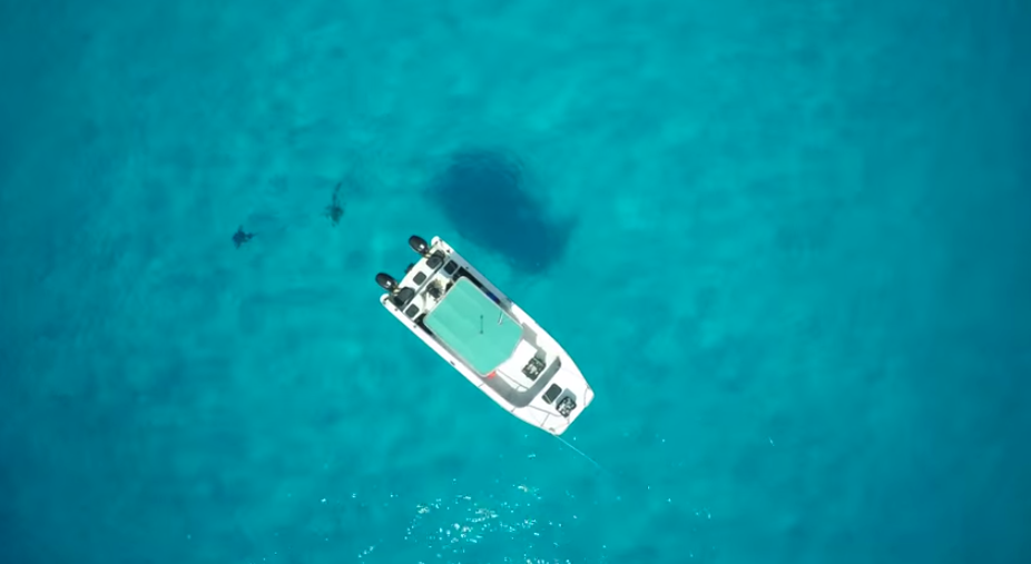 superlifesize's tweet photo. Amazing Hammerhead Shark footage. Wonder how they got the camera back.. http://t.co/myxyYx3iQY #GoPro #Sharkweek2015 http://t.co/iIitULrMJD