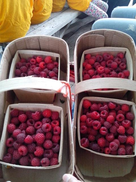 K_PHILLIPS5's tweet image. Lol Amanda and I are so old! #raspberrypicking