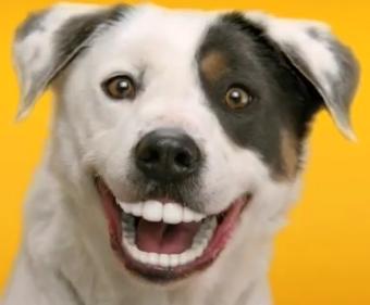 markfromalbany's tweet image. @Tinawanis 
Ty for this article.
I enjoy arguing science with atheists. 
Love accusing them of being #ScienceHaters