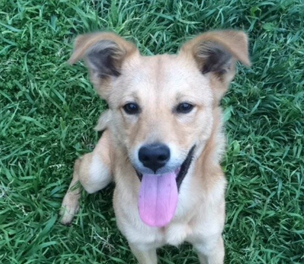 The adorable animals from <a href="/cuteornot/">Cute Or Not</a> have the best ideas for making your summer a good one! bzfd.it/1L304qt