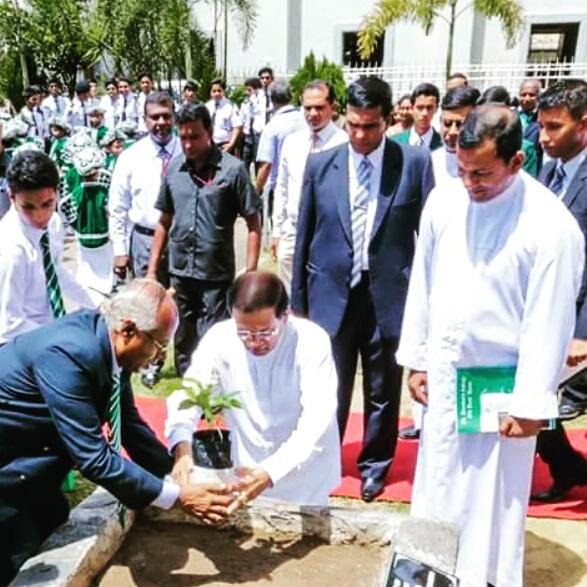 Marlon Denipitiya (@denipitiya24) on Twitter photo 