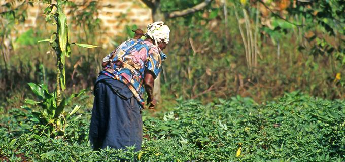 UNEP helps countries build resilience &amp; low carbon economies through the Green Climate Fund bit.ly/1NUfDQD