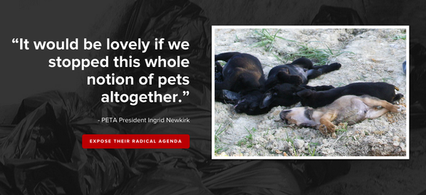 PETA_Kills's tweet photo. “It would be lovely if we stopped this whole notion of pets altogether.” - #PETA President Ingrid Newkirk http://t.co/GWR43seOwa