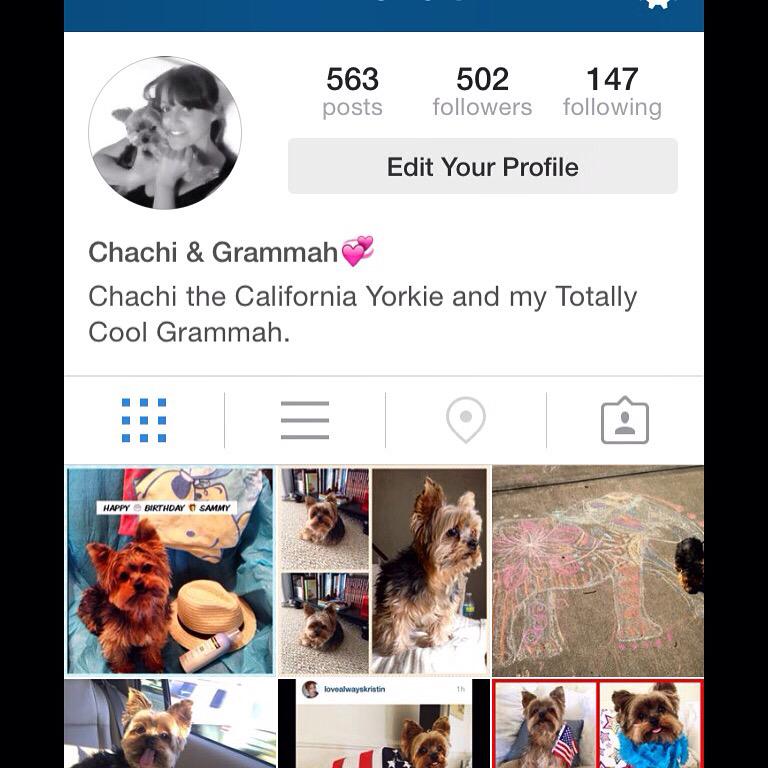 The difference between me and my dog. 473 followers. #followers