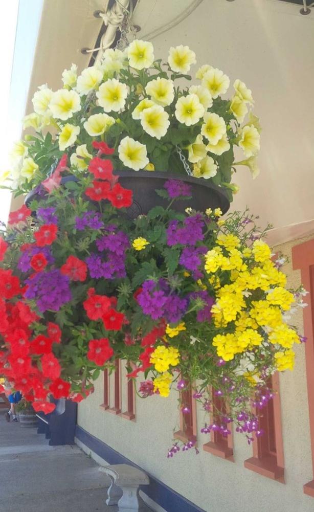 HangaGarden's tweet photo. Going to #Cultivate15? Be sure come by and see us at Booth R126 http://t.co/GwsJcSIMTD