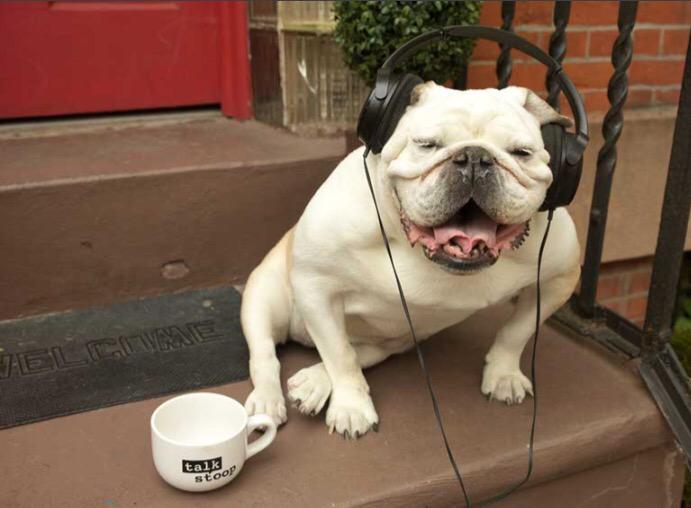 TalkStoopNBC's tweet image. For weekend listening &amp;amp; our 'Flavor of the Week' show tomorrow, our @Spotify playlist: spoti.fi/1L3kmjF