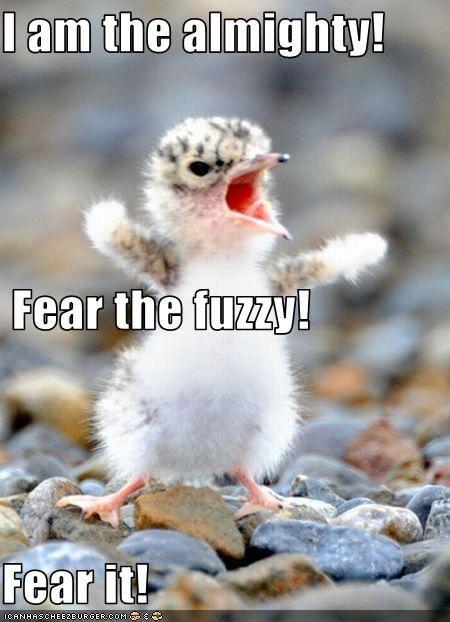FactoryCanvas's tweet photo. Scary stuff!

Love life at http://t.co/gYtNabPSuY http://t.co/V1gPLZaftO