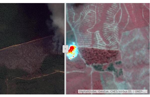 vantortech's tweet photo. Devastating forest fire in Indonesia's Tesso Nilo Park captured via WorldView-3 SWIR tech: http://t.co/TBAbNJ53xO http://t.co/PQ0duM0KLZ