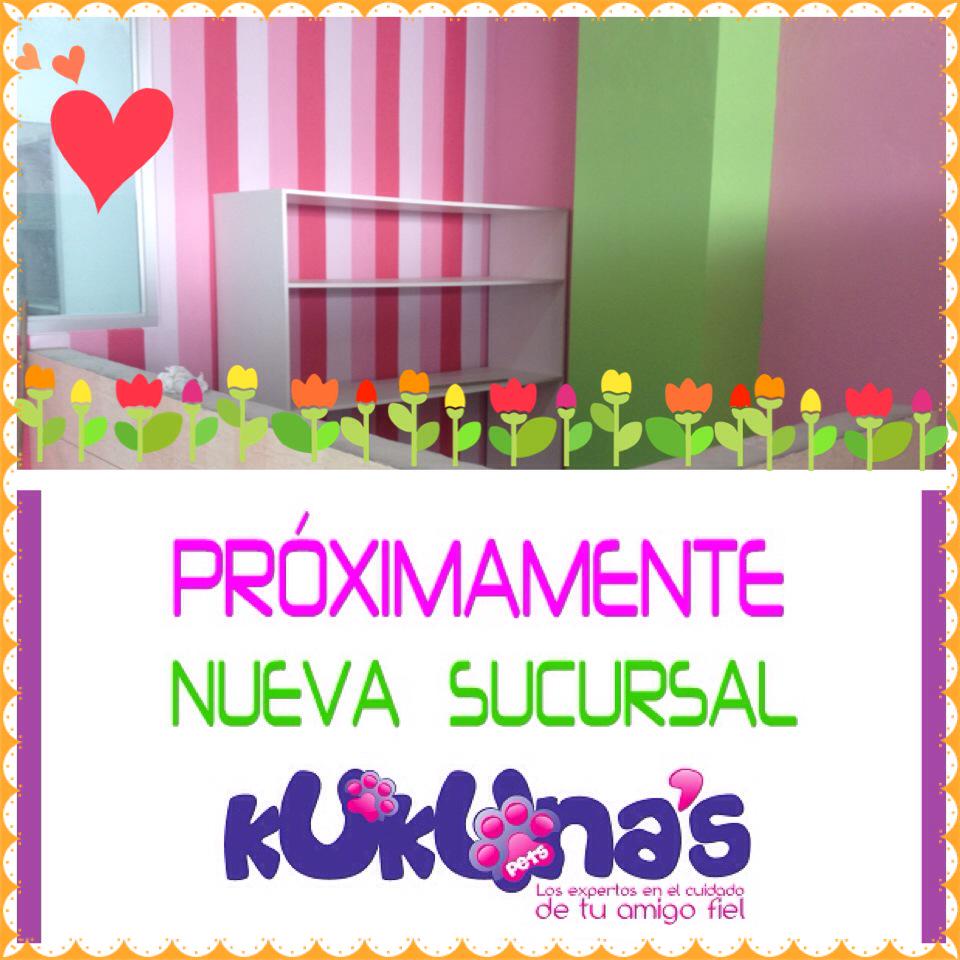 Kukuna's Pets tweet media
