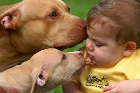erosrafh's tweet photo. #StopBoknal2015 @ONU_es @corea_RD @VisitaCorea @Pontifex 
LA HUMANIDAD LOS NECESITA... http://t.co/6hwMqCBaTY