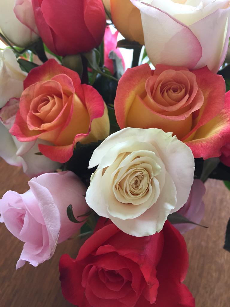 EthanyCullen's tweet photo. Bought myself some rises #wycwyc, #loveflowers http://t.co/tUWtPkzOfm