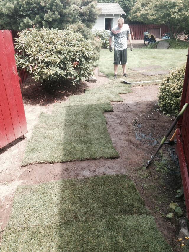 sjpressurespray's tweet photo. Need a helping hand with laying new sod? S&amp;J can remove your old grass and lay new fresh sod! http://t.co/uPFHS9YnUy