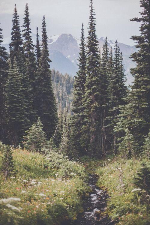 adventurful's tweet photo. Let's go for a walk 😍 http://t.co/MvHakV3RmB